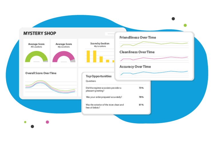mystery shopping reports & dashboard