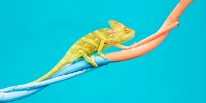 Changes in Consumer Habits