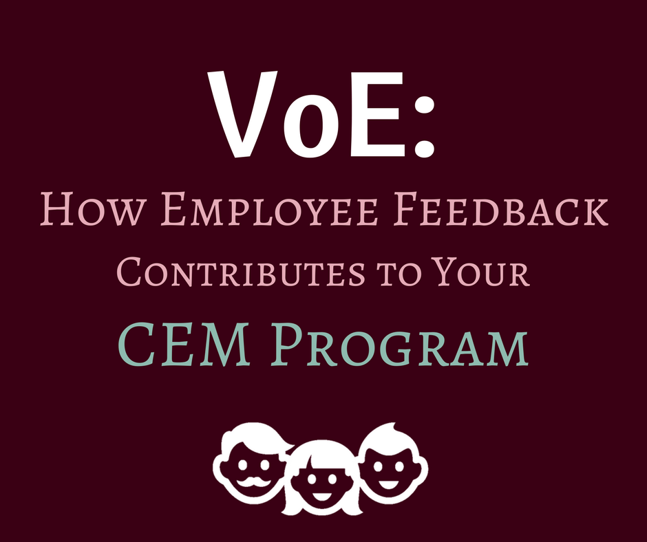 VoE: How Employee Feedback Contributes to Your CEM Program