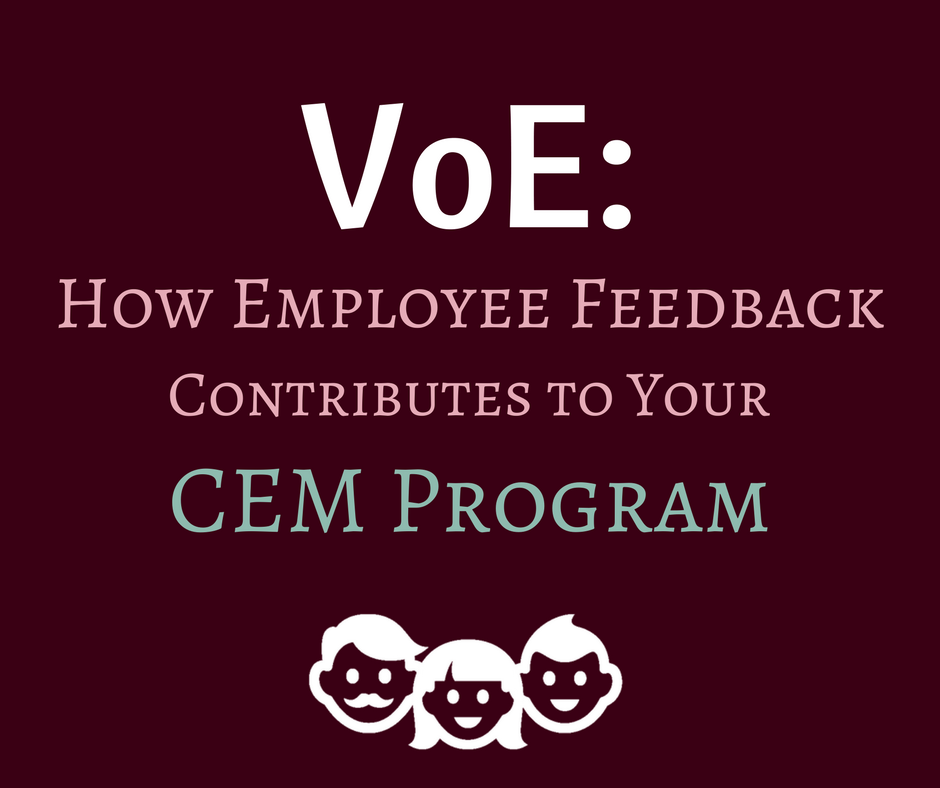 VoE Employee Feedback